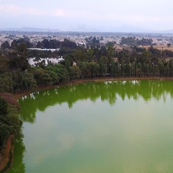 Bosque de Tláhuac